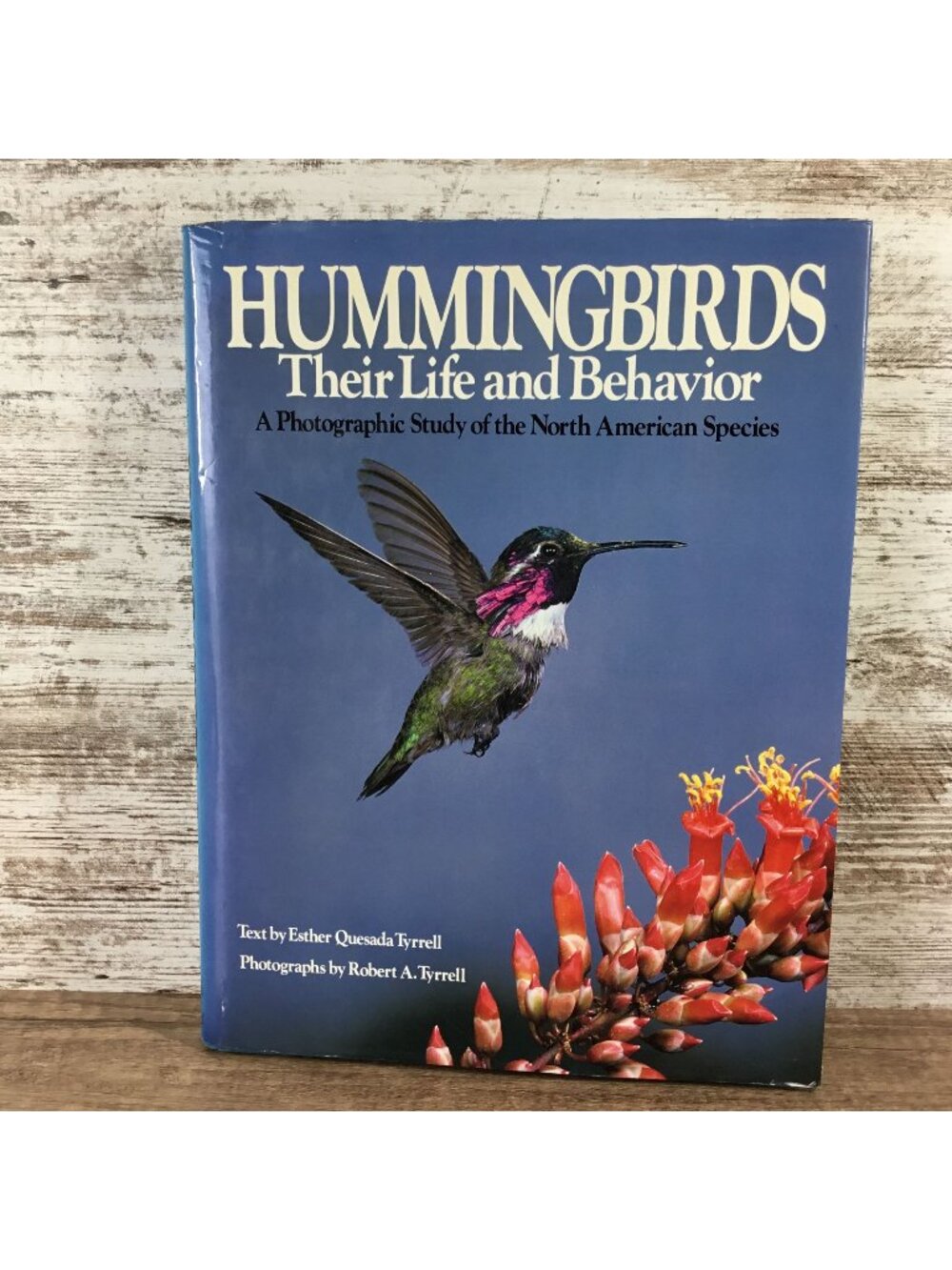 Hummingbirds: Their Life And Behavior Hardcover 1984 North American Species